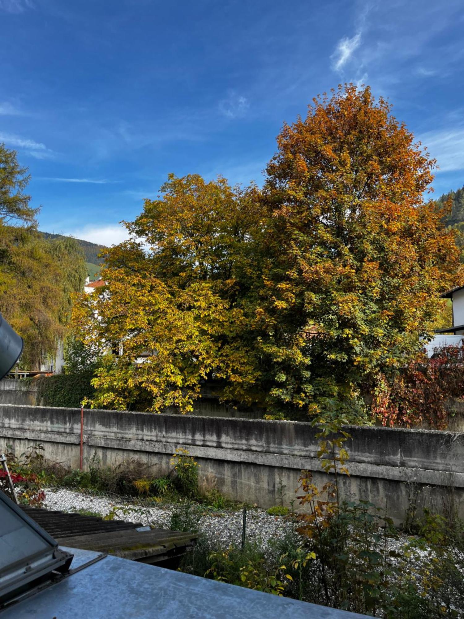 Gasthof Sterzingerhof Esterno foto